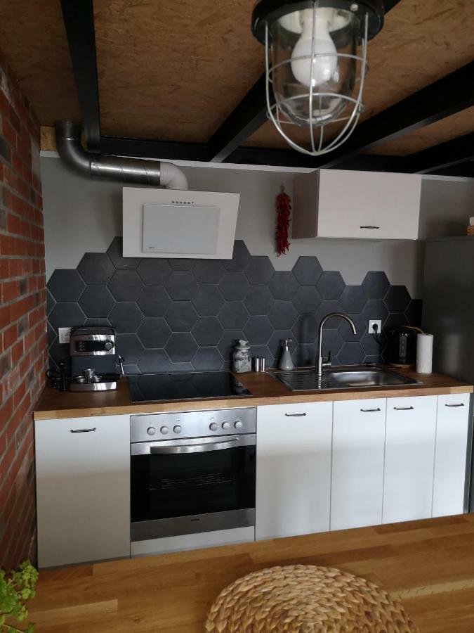 Loftstyle Apartament 日拉尔杜夫 外观 照片